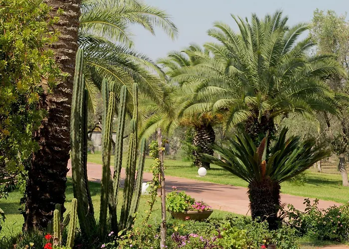 Tenuta Ricco With Pool And Garden - Happy Rentals