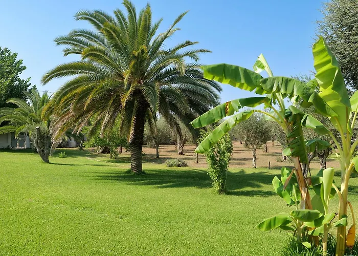 Tenuta Ricco With Pool And Garden - Happy Rentals