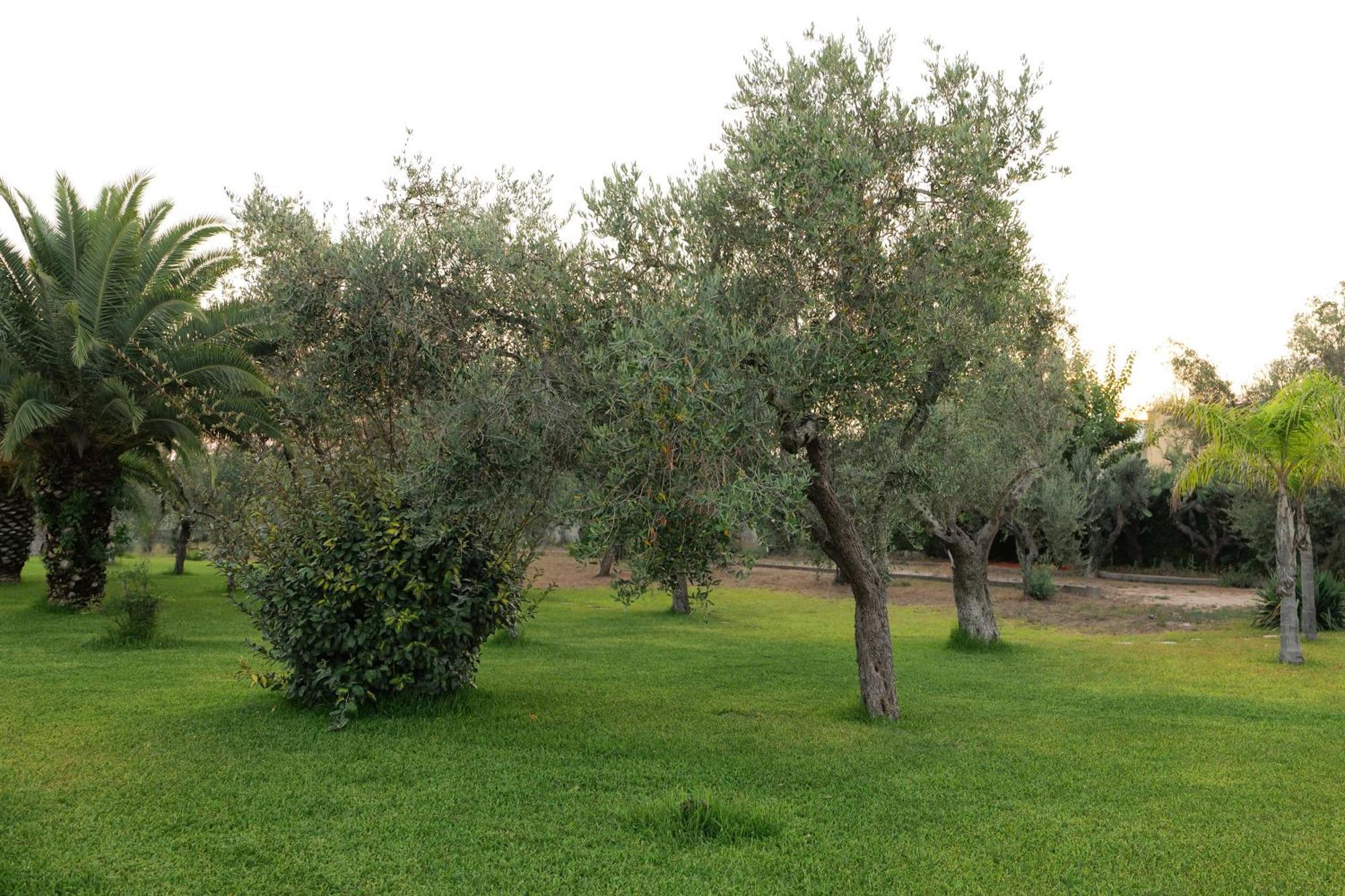 Tenuta Ricco With Pool And Garden - Happy Apartment *